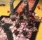 Warhammer Quest