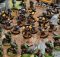 Warhammer 40k Imperial Guard oldhammer