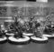 warhammer sigmar grots goblins gloomspite git28